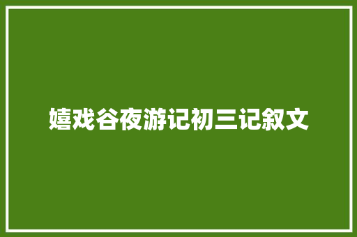 嬉戏谷夜游记初三记叙文 工作总结范文