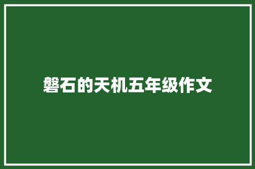 磐石的天机五年级作文