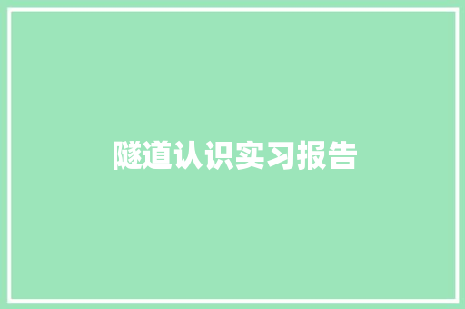 隧道认识实习报告