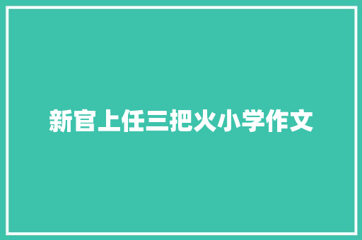 新官上任三把火小学作文