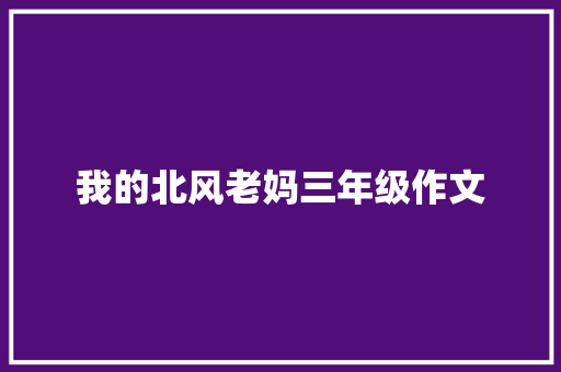 我的北风老妈三年级作文