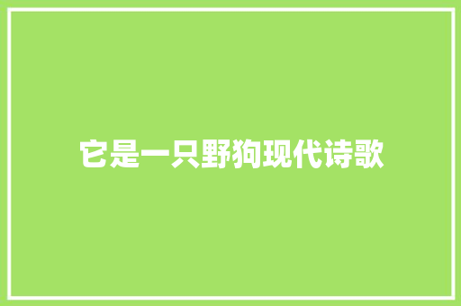 它是一只野狗现代诗歌