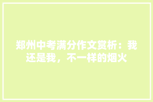 郑州中考满分作文赏析：我还是我，不一样的烟火