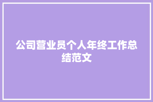 公司营业员个人年终工作总结范文