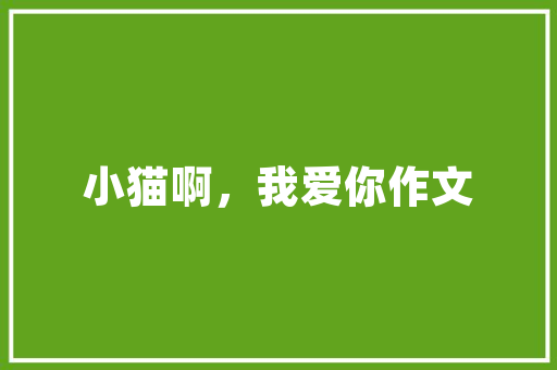 成长励志的作文800字_梅西励志动人的足球故事