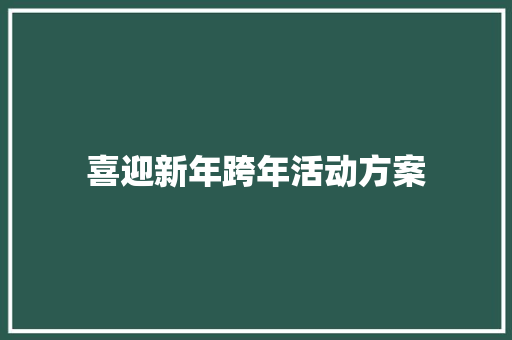 喜迎新年跨年活动方案