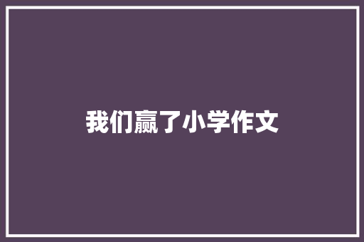 我们赢了小学作文 书信范文