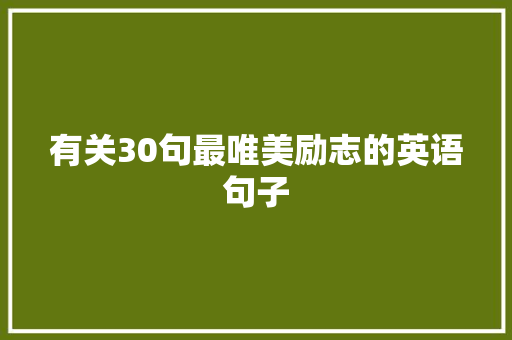 有关30句最唯美励志的英语句子