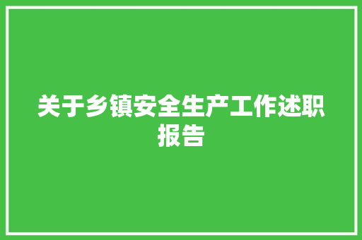 关于乡镇安全生产工作述职报告 职场范文