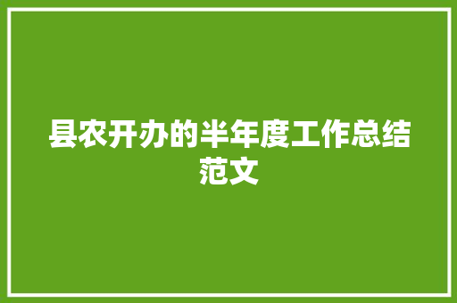 县农开办的半年度工作总结范文