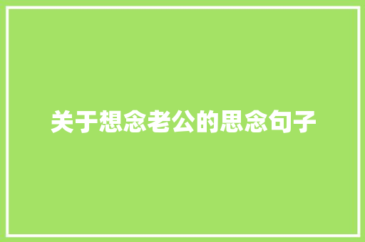 关于想念老公的思念句子 报告范文