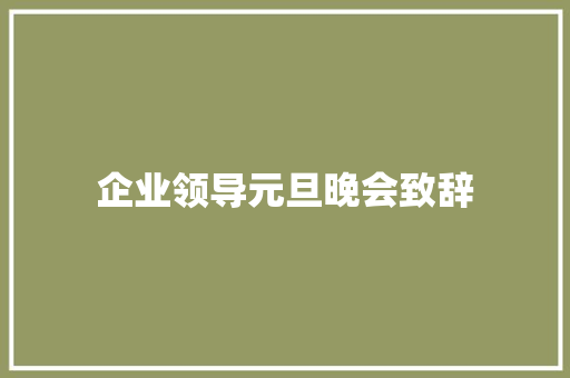 企业领导元旦晚会致辞 申请书范文