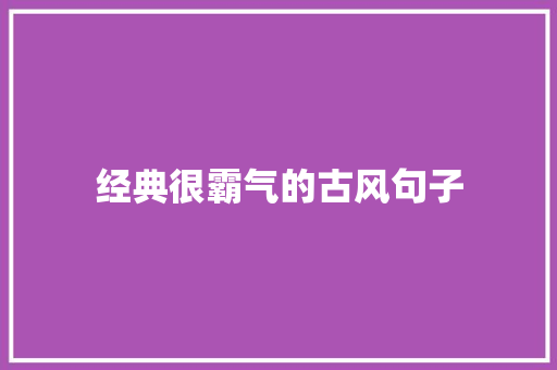 经典很霸气的古风句子