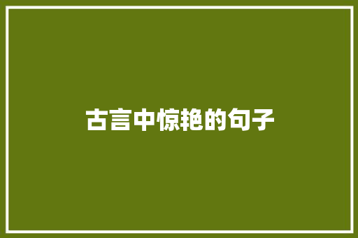 古言中惊艳的句子