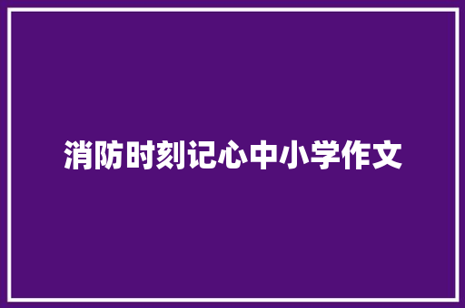 消防时刻记心中小学作文