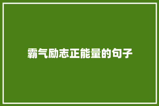 霸气励志正能量的句子 报告范文