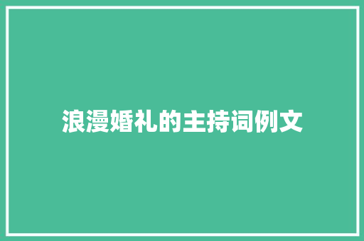 浪漫婚礼的主持词例文 会议纪要范文