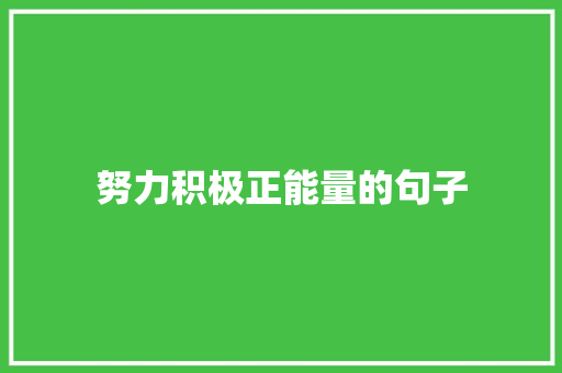 努力积极正能量的句子 求职信范文