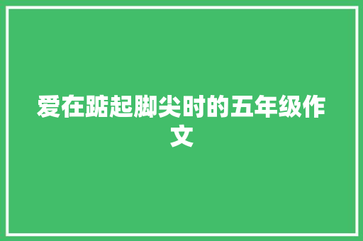 爱在踮起脚尖时的五年级作文