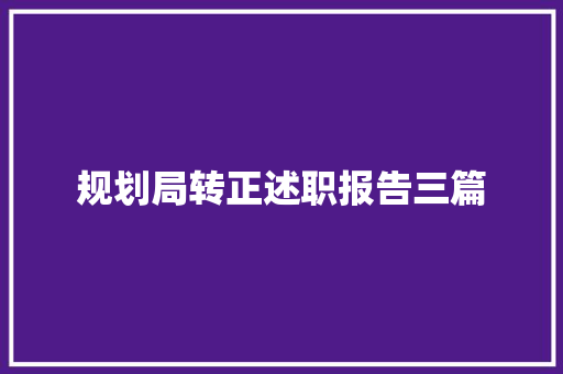 规划局转正述职报告三篇