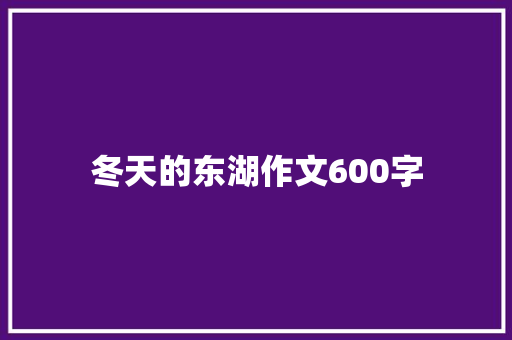 冬天的东湖作文600字