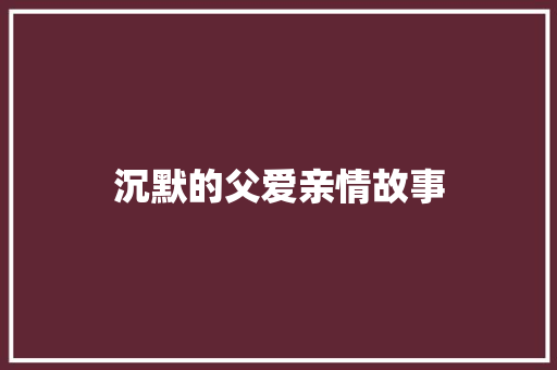 沉默的父爱亲情故事 论文范文