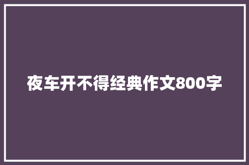 夜车开不得经典作文800字 职场范文