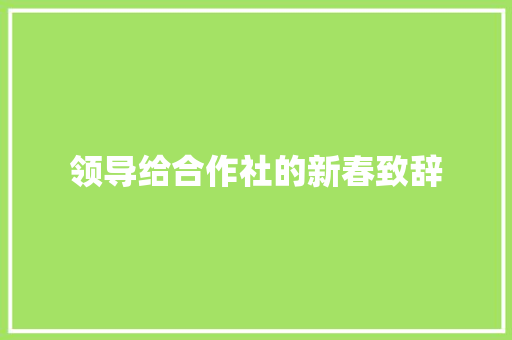 领导给合作社的新春致辞