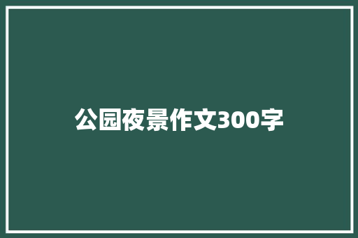 公园夜景作文300字