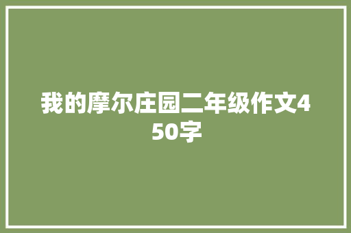 我的摩尔庄园二年级作文450字