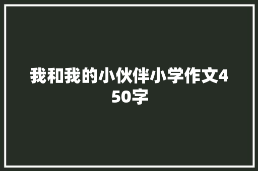 我和我的小伙伴小学作文450字 报告范文