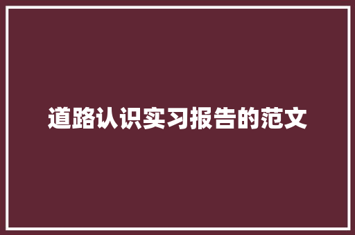 道路认识实习报告的范文 工作总结范文