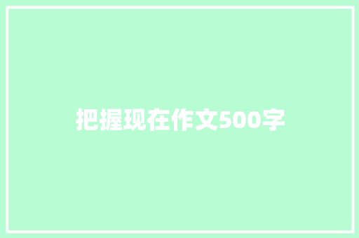 把握现在作文500字