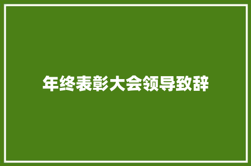 年终表彰大会领导致辞 报告范文