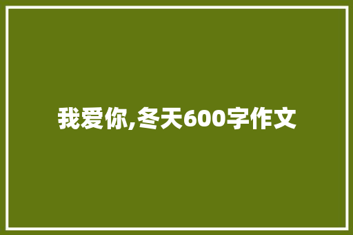 我爱你,冬天600字作文