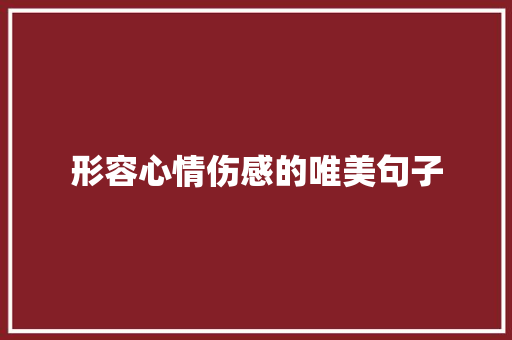 形容心情伤感的唯美句子 申请书范文