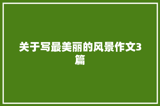 关于写最美丽的风景作文3篇 工作总结范文