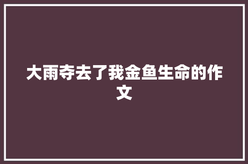 大雨夺去了我金鱼生命的作文