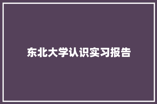 东北大学认识实习报告 会议纪要范文