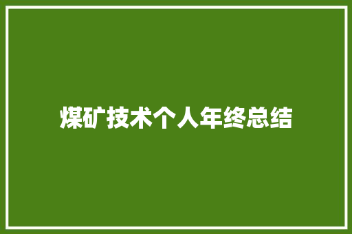 煤矿技术个人年终总结 报告范文