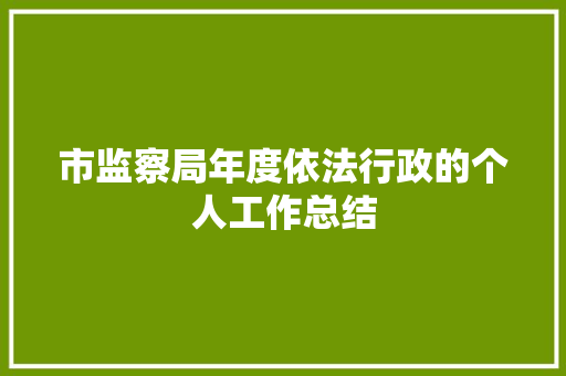 市监察局年度依法行政的个人工作总结