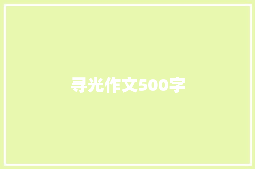 寻光作文500字 综述范文