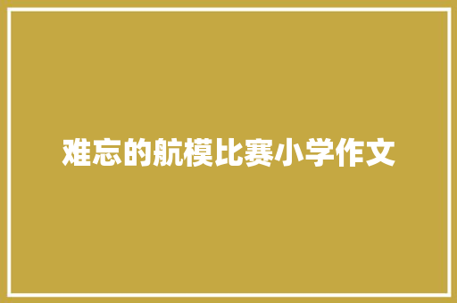 难忘的航模比赛小学作文