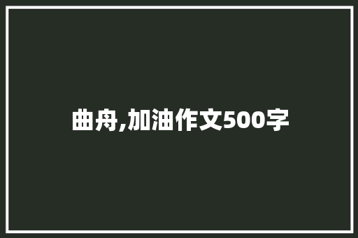 曲舟,加油作文500字 综述范文