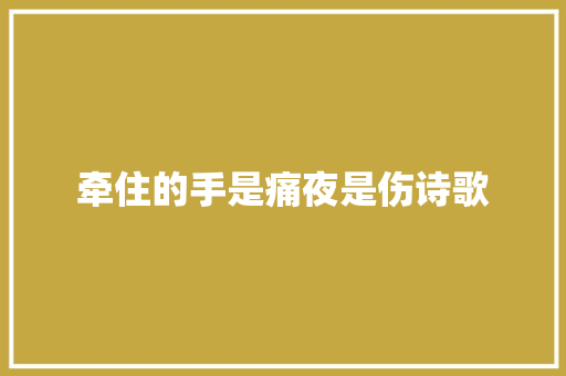 牵住的手是痛夜是伤诗歌 工作总结范文