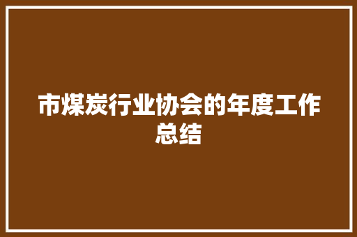 市煤炭行业协会的年度工作总结