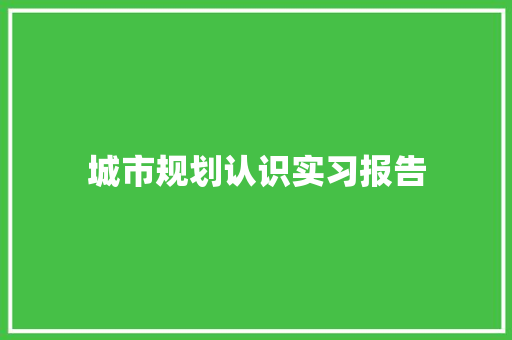 城市规划认识实习报告