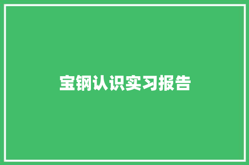 宝钢认识实习报告