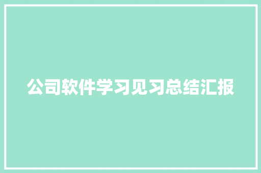 公司软件学习见习总结汇报