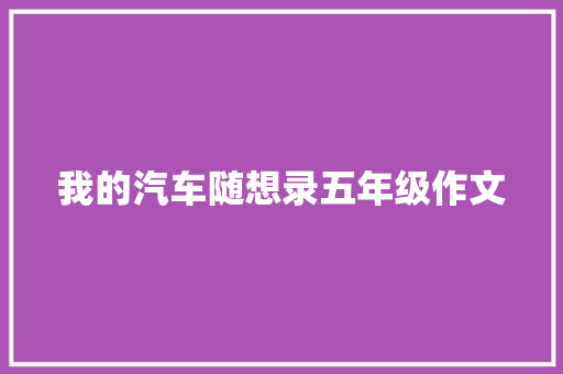 我的汽车随想录五年级作文